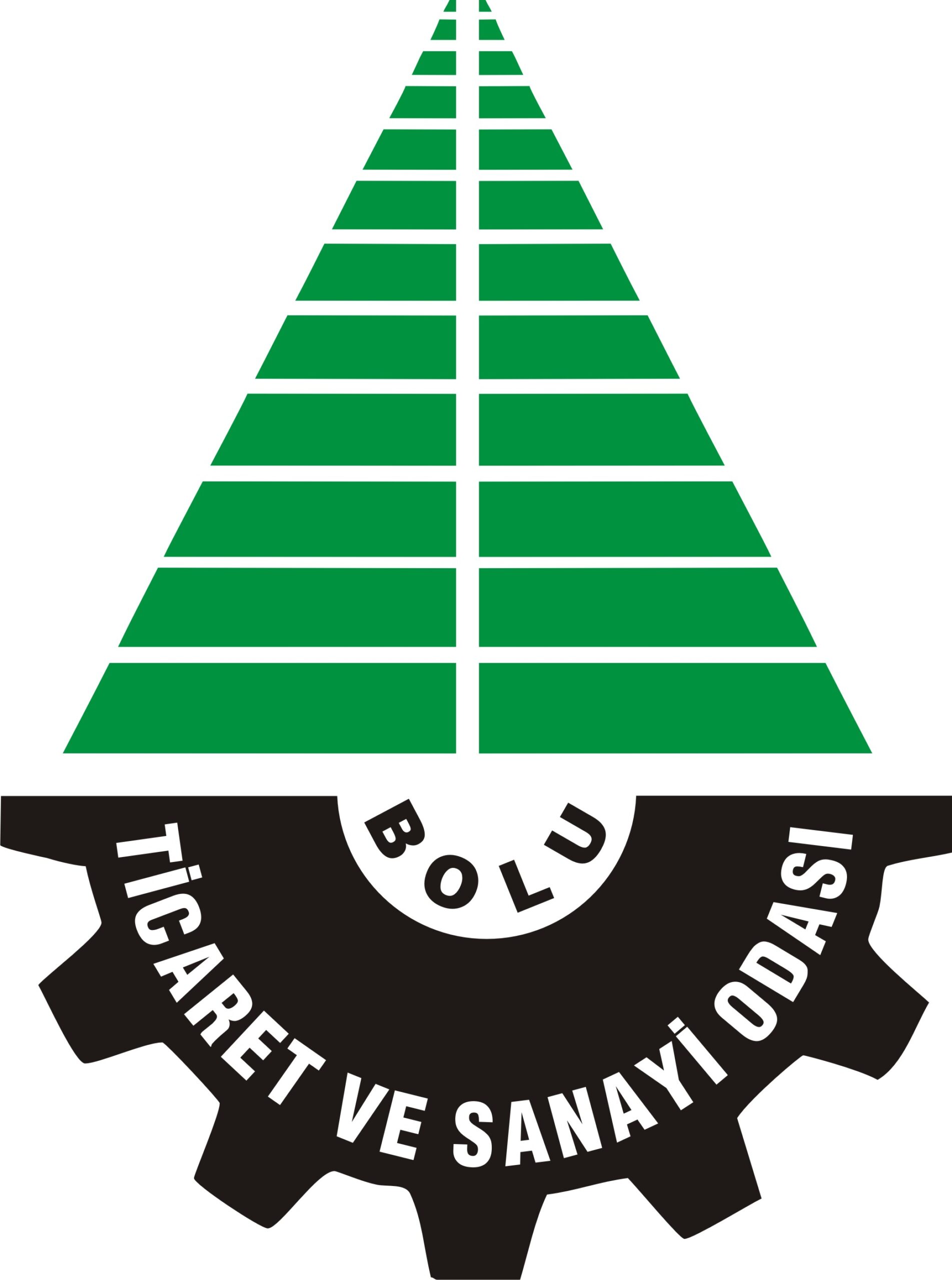 BoluTSO_Logo