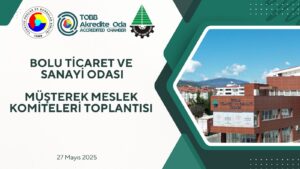 BOLU TİCARET VE SANAYİ ODASI MÜŞTEREK MESLEK KOMİTELERİ TOPLANTISI GERÇEKLEŞTİRİLDİ