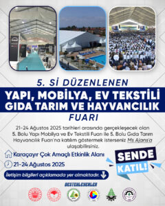 Sayın Üyemiz,
